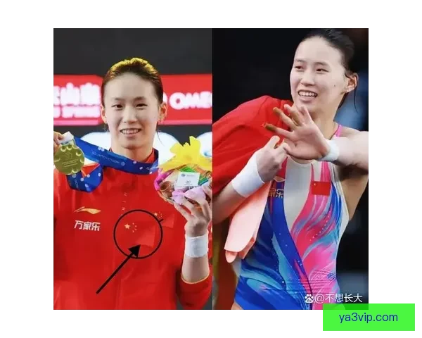 中国跳水队备战世界杯 王宗源等将出战 陈芋汐因伤缺席比赛